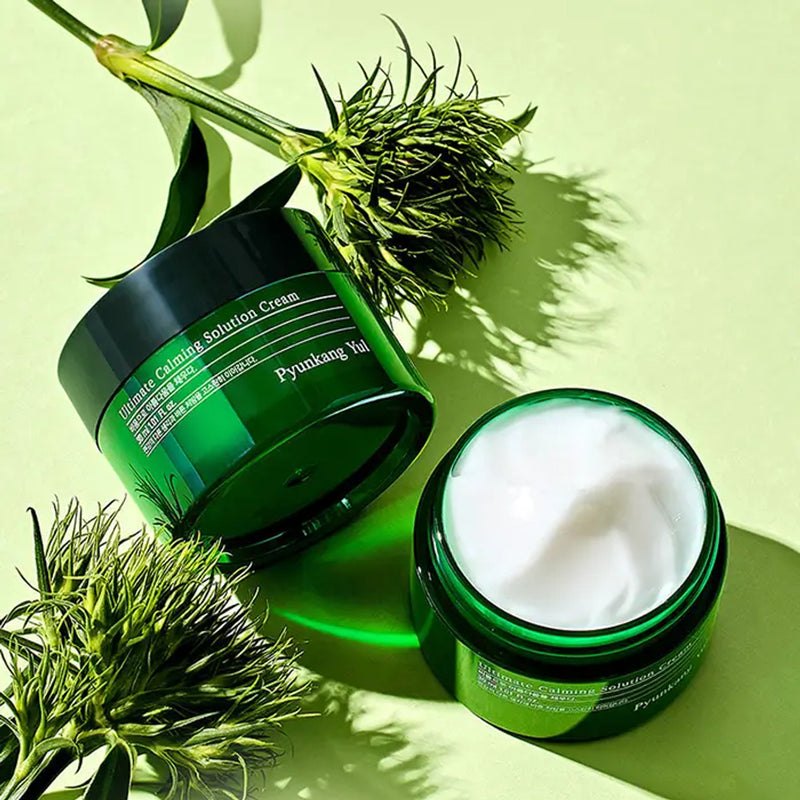 Pyunkang Yul Skincare UAE — Calming Creams for Sensitive Skin