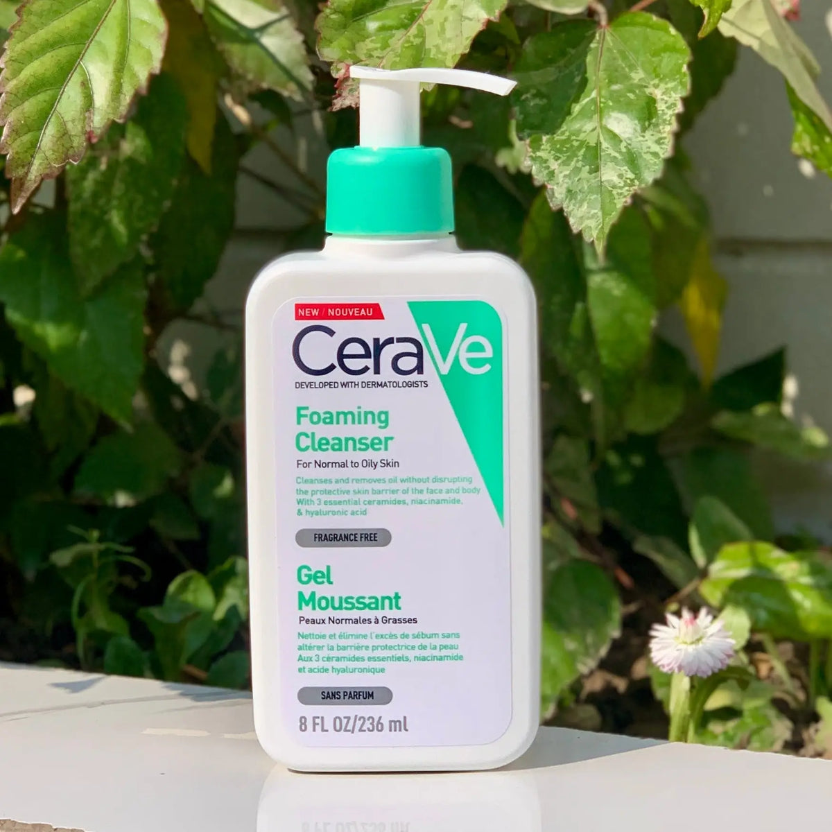 Oily Skin Care Products Dubai | Oil Control Skincare UAE