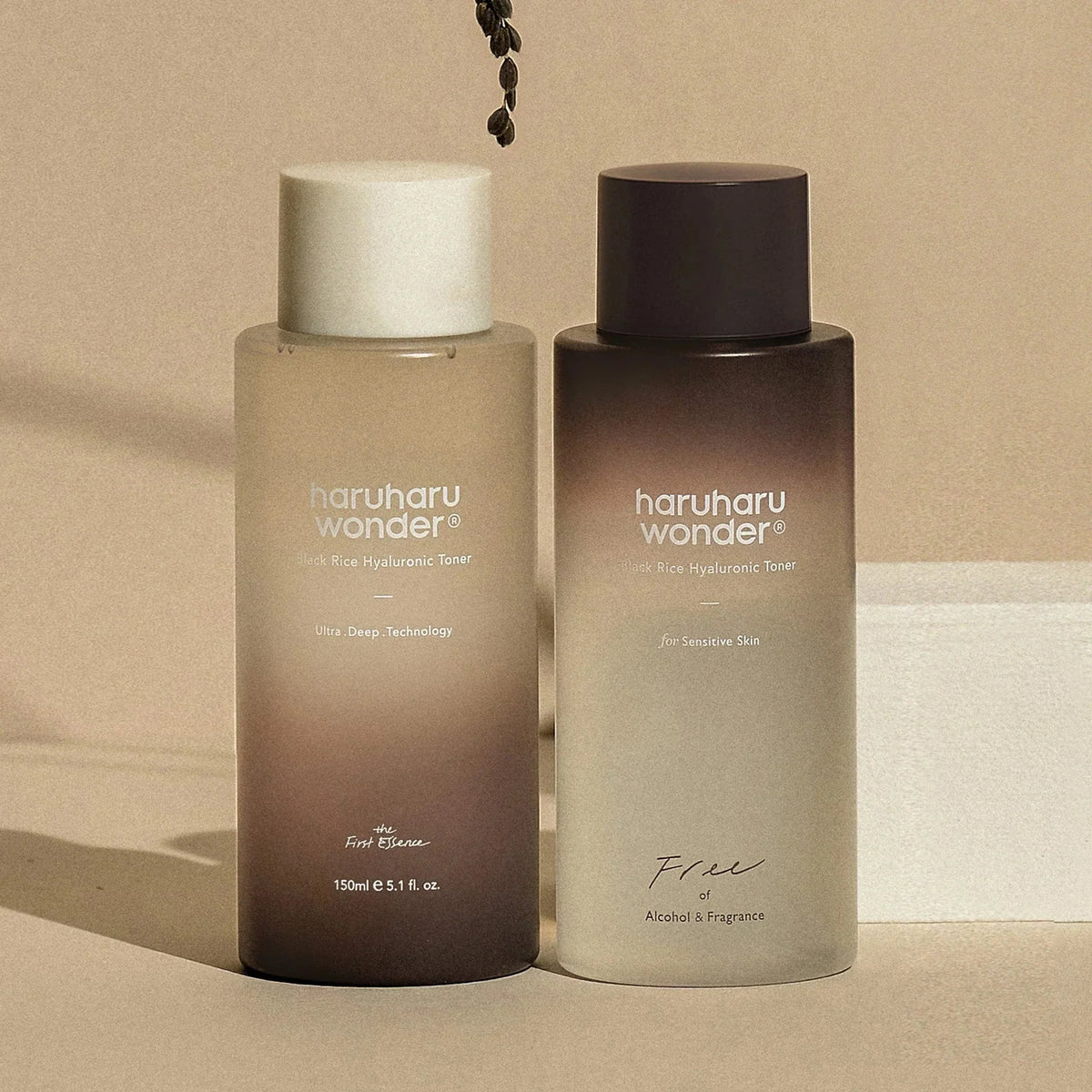 Haru Haru Skincare UAE — Black Rice K-Beauty | K-Belle Bliss