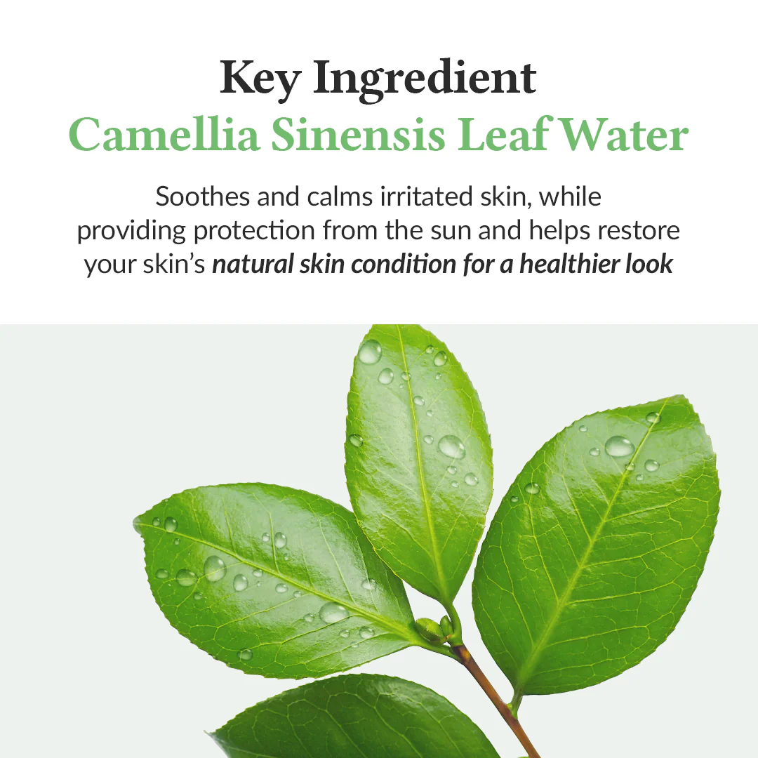 Dr. Althea Green Tea Fresh Sunscreen Dr. Althea