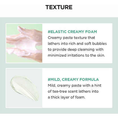 SKIN1004 Madagascar Centella Tea-Trica BHA Foam 4.22 fl.oz 125mL Skin1004