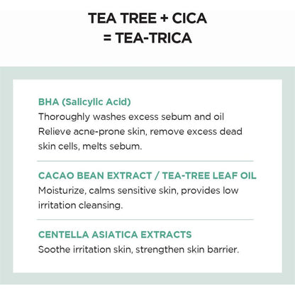SKIN1004 Madagascar Centella Tea-Trica BHA Foam 4.22 fl.oz 125mL Skin1004