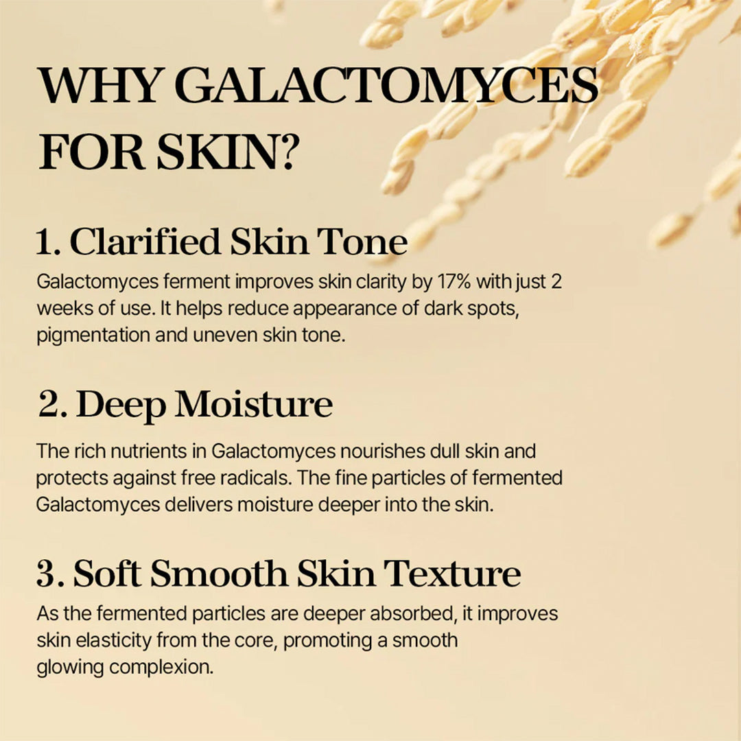 mixsoon Galactomyces Ferment Essence 100 mL Mixsoon