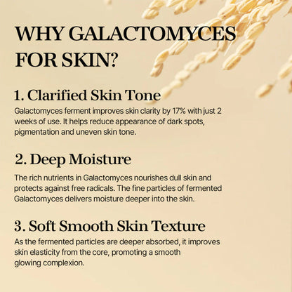 mixsoon Galactomyces Ferment Essence 100 mL Mixsoon