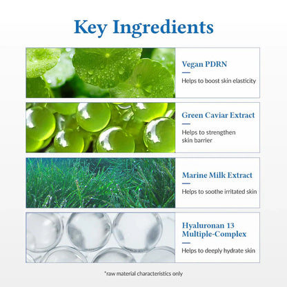 Dr. Althea Aqua Marine Watery Cream 50ml hydrating Korean moisturizer UAE