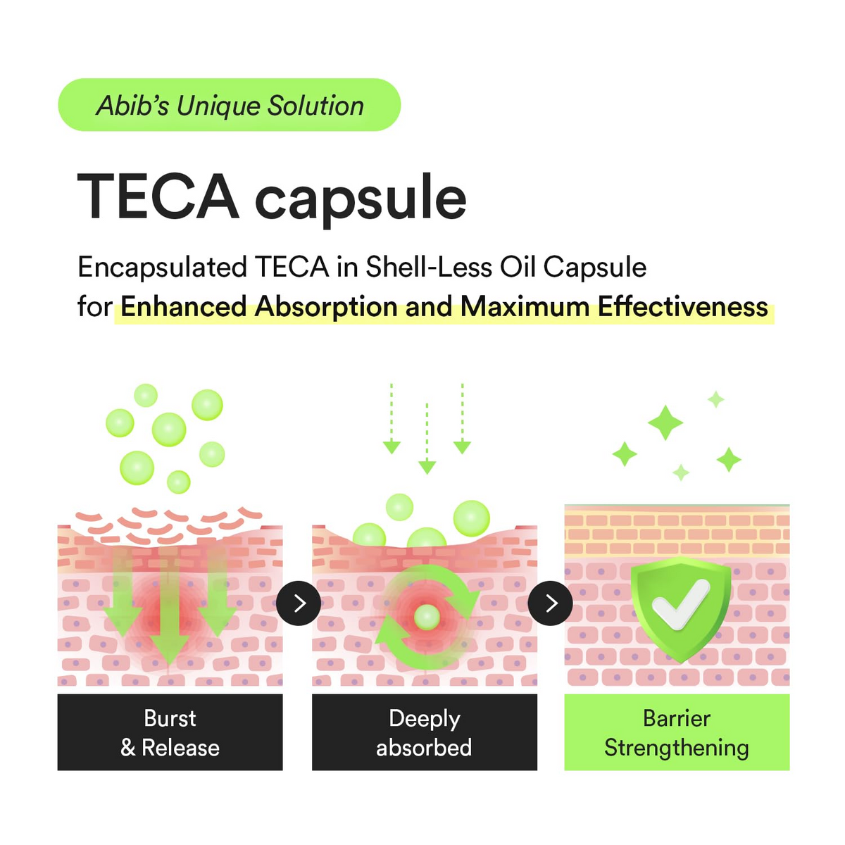 Diagram of TECA capsule absorption with text about Abib Teca Capsule Serum unique solution.