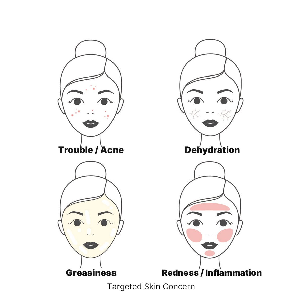 illustrated faces showing targeted concerns: acne, dehyderation, greasiness and redness