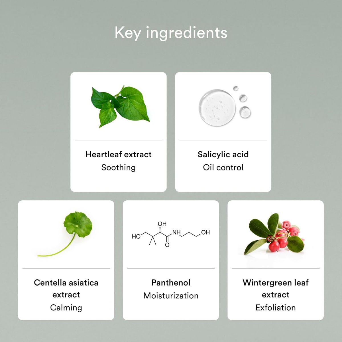 Abib Acne Foam Cleanser Heartleaf Foam 150 mL Abib