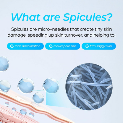 Explanation of spicules with text and close-up image 