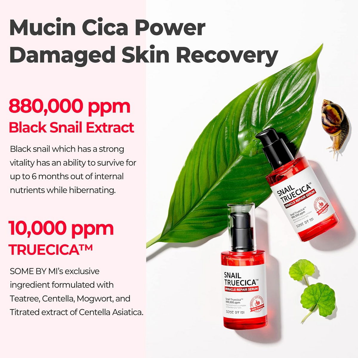 SOME BY MI Snail Truecica Miracle Repair Serum 50mL SOMEBYMI