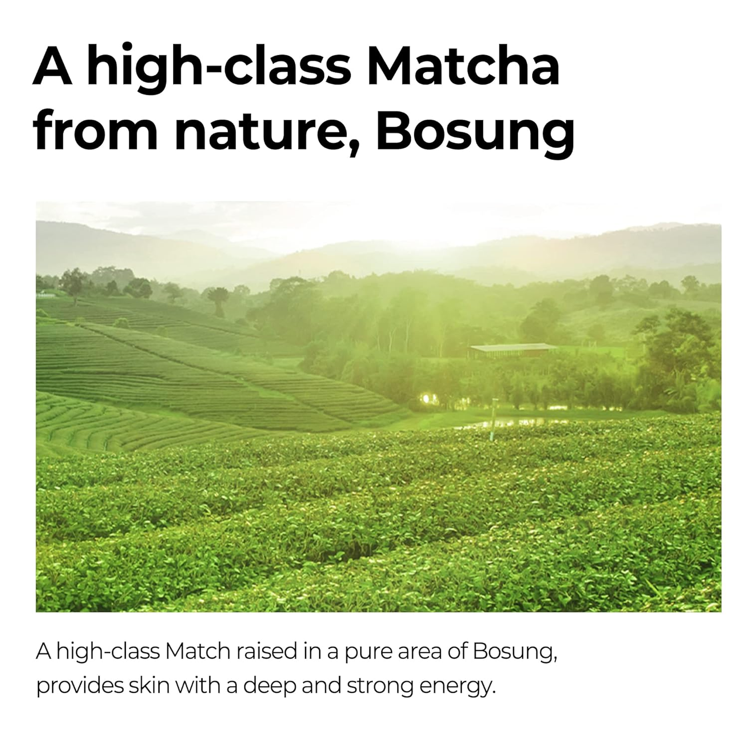 SOME BY MI Super Matcha Pore Tightening Serum 50mL SOMEBYMI