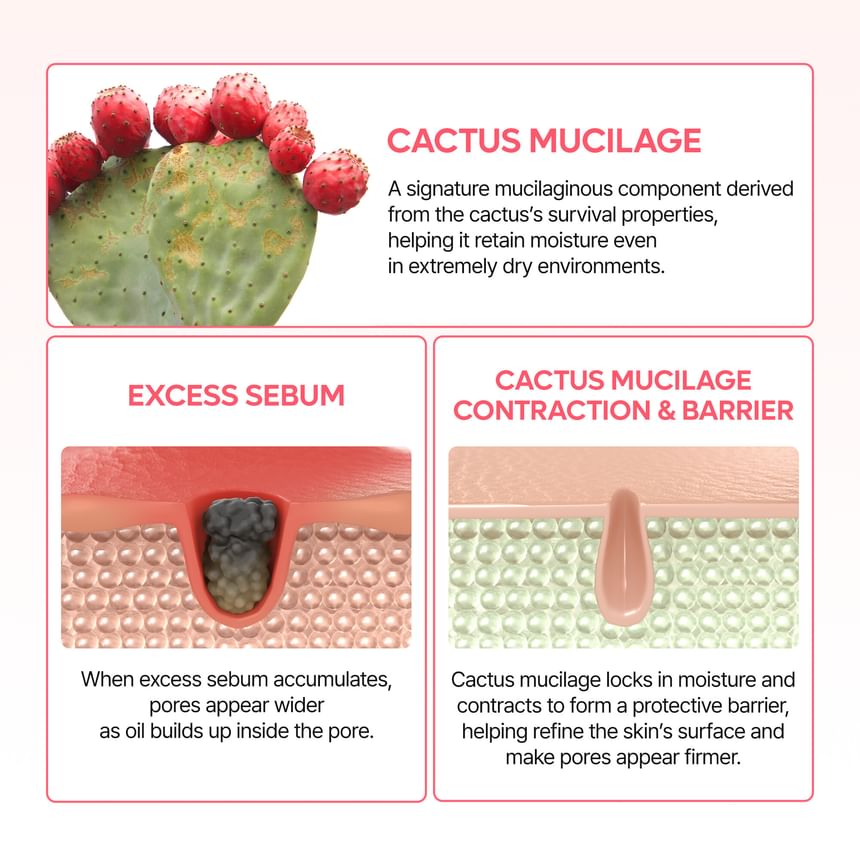 Dr. Melaxin Cactox Pore Relief Dual Capsule Cream 65g UAE