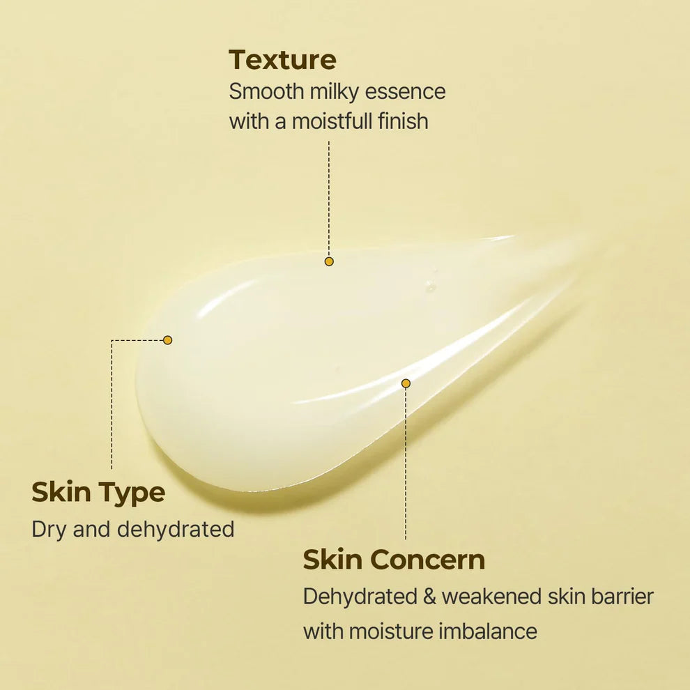 TORRIDEN SOLID IN Essence 100mL | Ceramide Barrier Repair & Deep Hydration Essence UAE