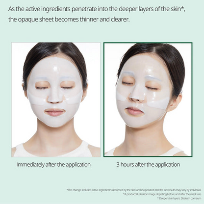 VT Pro Cica Reedle Shot Essential Hydrogel Mask VT